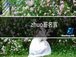 zhuo哥名言：我不太喜欢别人一直说我什么梗