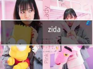 zida.co这个域名访问不了