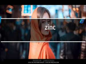 【zinc】免费zinc软件下载