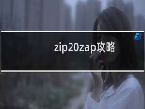 zip zap攻略
