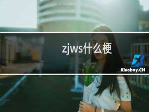 zjws什么梗