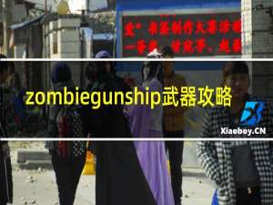 zombiegunship武器攻略