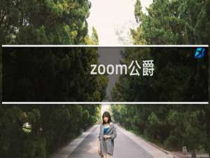 zoom公爵 zoom为什么叫公爵什么梗