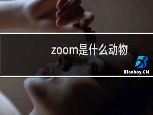 zoom是什么动物