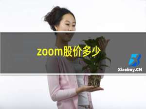 zoom股价多少