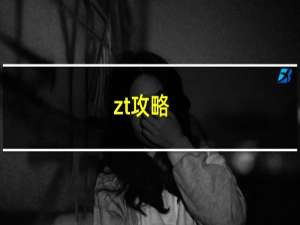 zt攻略