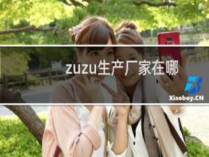 zuzu生产厂家在哪