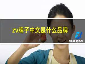 zv牌子中文是什么品牌