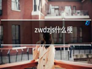 zwdzjs什么梗