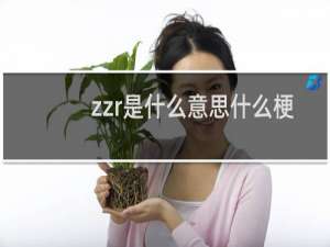 zzr是什么意思什么梗