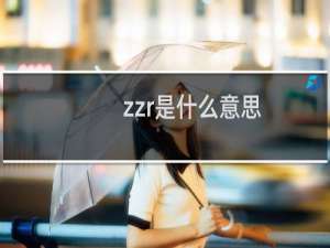 zzr是什么意思，是什么的缩写什么梗