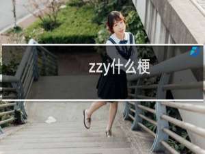 zzy什么梗