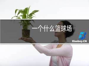 一个什么篮球场