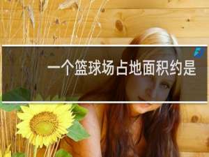 一个篮球场占地面积约是450什么