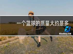 一个篮球的质量大约是多少