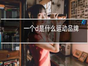 一个d是什么运动品牌