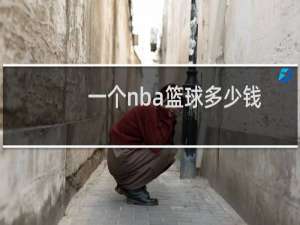 一个nba篮球多少钱