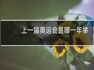 上一届奥运会是哪一年举办的