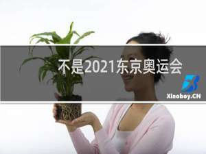 不是2021东京奥运会吗