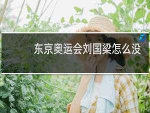 东京奥运会刘国梁怎么没去