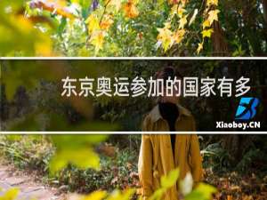 东京奥运参加的国家有多少