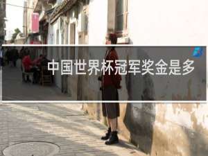 中国世界杯冠军奖金是多少