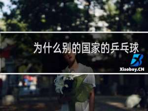 为什么别的国家的乒乓球选手是中国人