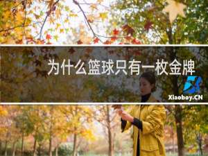 为什么篮球只有一枚金牌