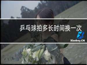 乒乓球拍多长时间换一次