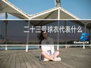 二十三号球衣代表什么