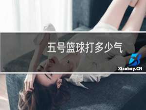 五号篮球打多少气