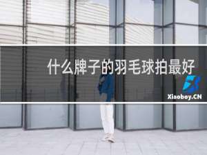什么牌子的羽毛球拍最好打