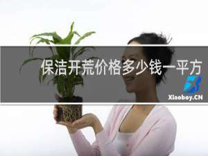 保洁开荒价格多少钱一平方 - 学校开荒保洁多少钱一平