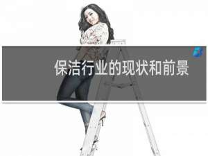 保洁行业的现状和前景 - 保洁行业存在的困难和前景