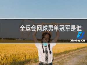 全运会网球男单冠军是谁