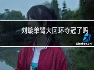 刘璇单臂大回环夺冠了吗
