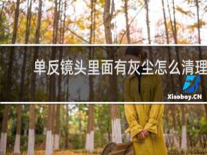 单反镜头里面有灰尘怎么清理 - 单反镜头内部有灰尘