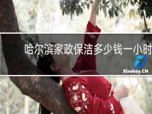 哈尔滨家政保洁多少钱一小时 - 哈尔滨钟点工家政服务