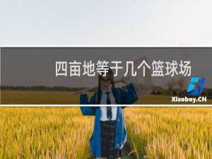 四亩地等于几个篮球场