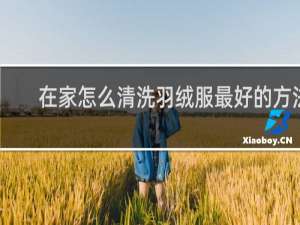 在家怎么清洗羽绒服最好的方法 - 怎么洗羽绒服又快又干净视频