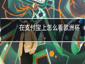 在支付宝上怎么看欧洲杯