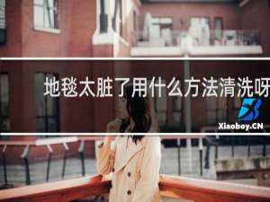 地毯太脏了用什么方法清洗呀 - 地毯黑了怎么清洗