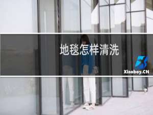 地毯怎样清洗 - 自己可以清洗地毯吗