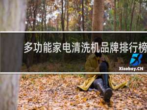 多功能家电清洗机品牌排行榜 - 家电清洗一体机品牌排行榜