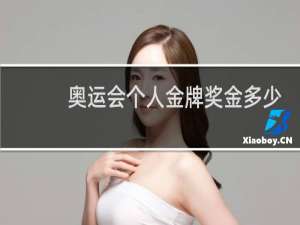 奥运会个人金牌奖金多少