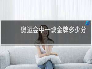 奥运会中一块金牌多少分