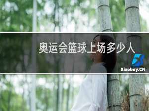 奥运会篮球上场多少人