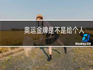 奥运金牌是不是给个人