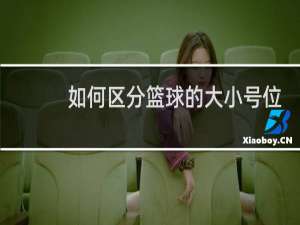 如何区分篮球的大小号位