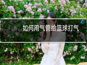 如何用气管给篮球打气